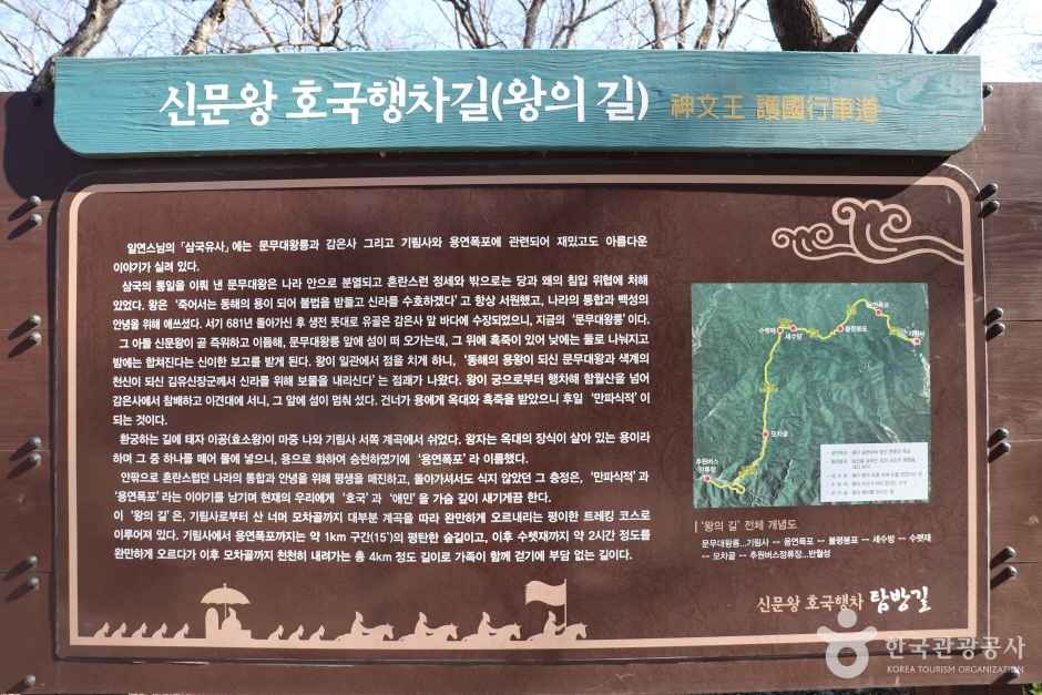 경주 왕의 길 이미지 1