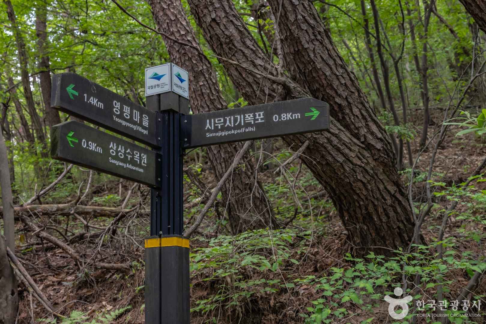 시무지기 폭포 (무등산권 국가지질공원) 이미지 2