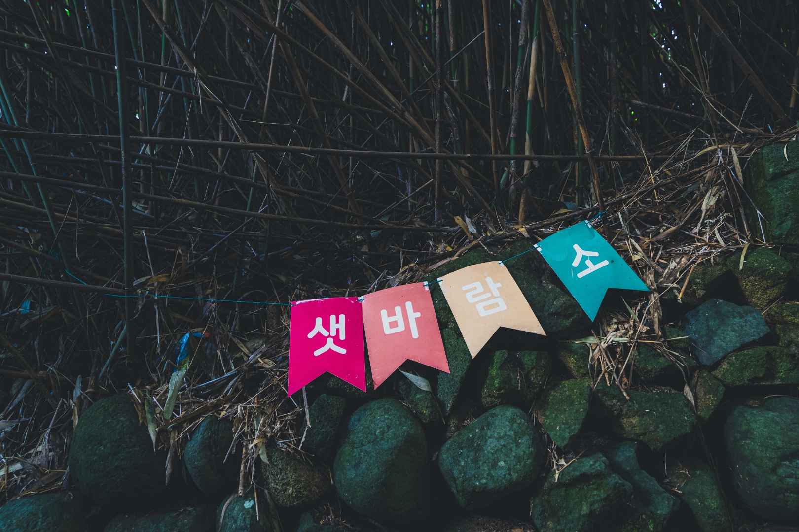 샛바람소리길 이미지 2