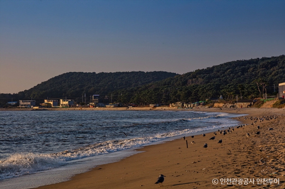 용유도 마시안해변 이미지 5