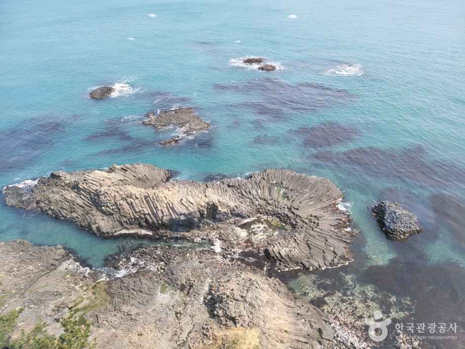 경주 양남 주상절리 전망대 이미지 4