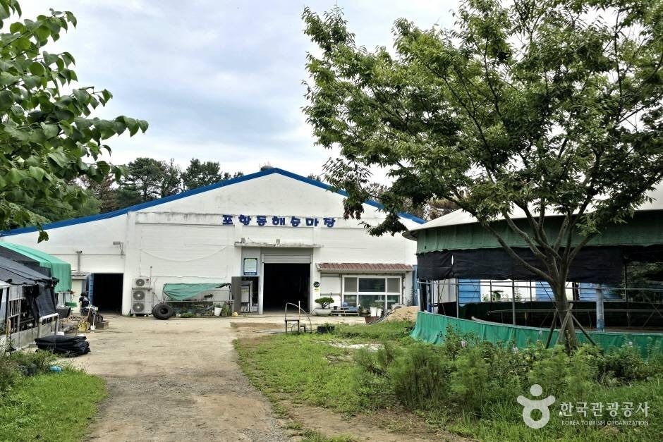 포항동해승마장 이미지 5