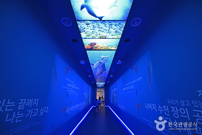 울진 국립해양과학관 이미지 8