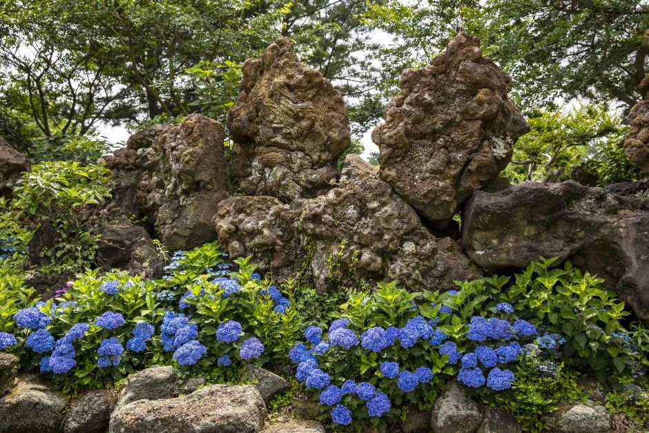 제주동화마을 이미지 4