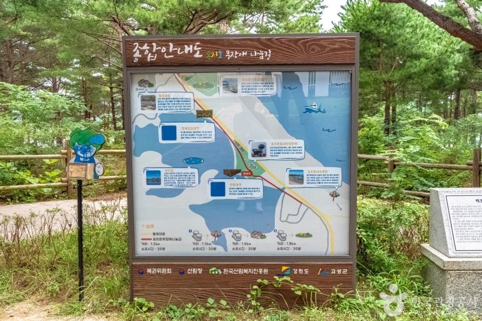 송지호둘레길 이미지 2