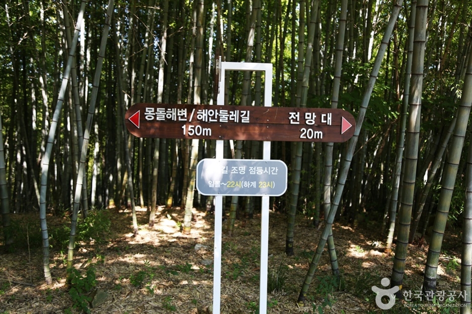 상상산책길 이미지 2