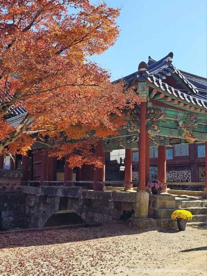 송광사(순천) 이미지 2