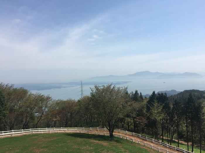 상상양떼목장 편백숲 이미지 4