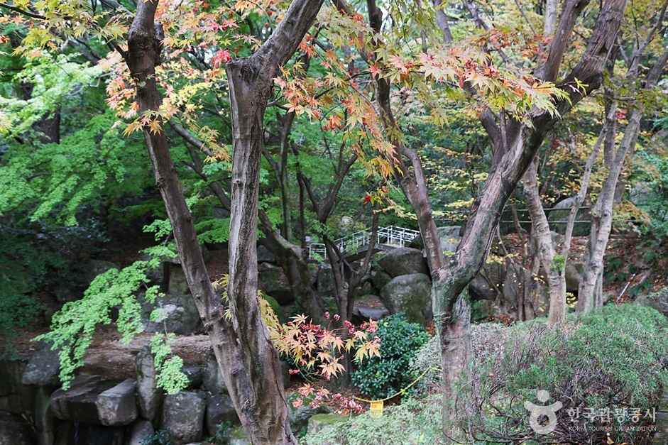 금강식물원 이미지 5