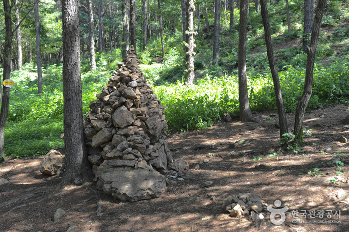 문수산산림욕장 이미지 5