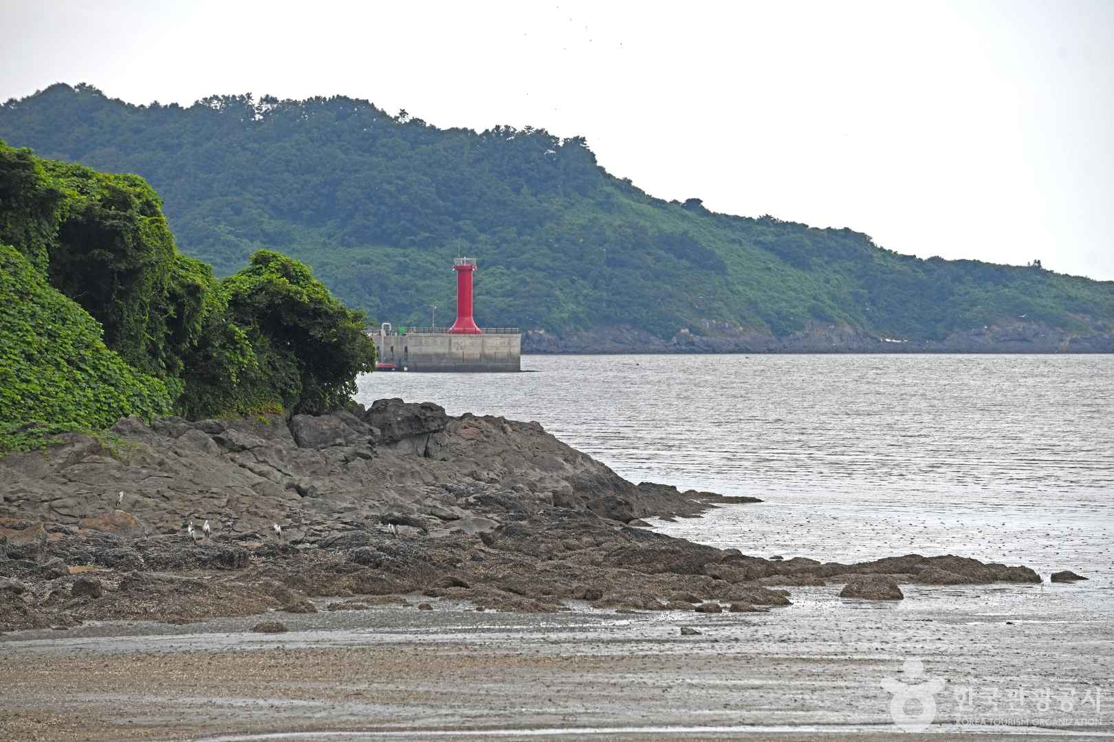 모래미 해변 이미지 3