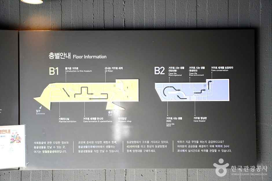 영월 동굴생태관 이미지 7