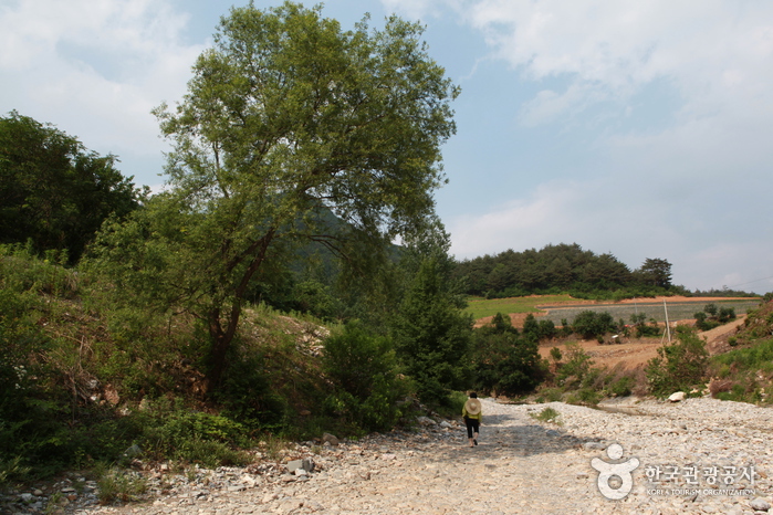 덕산기 계곡 이미지 4