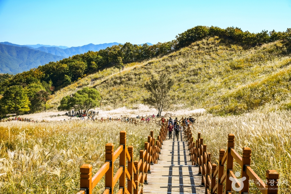 명성산 억새밭 이미지 3