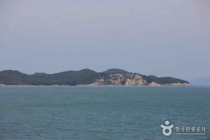 첨도 이미지 1