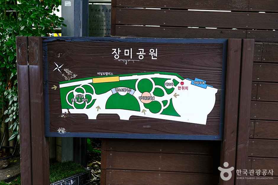 중랑장미공원 이미지 8