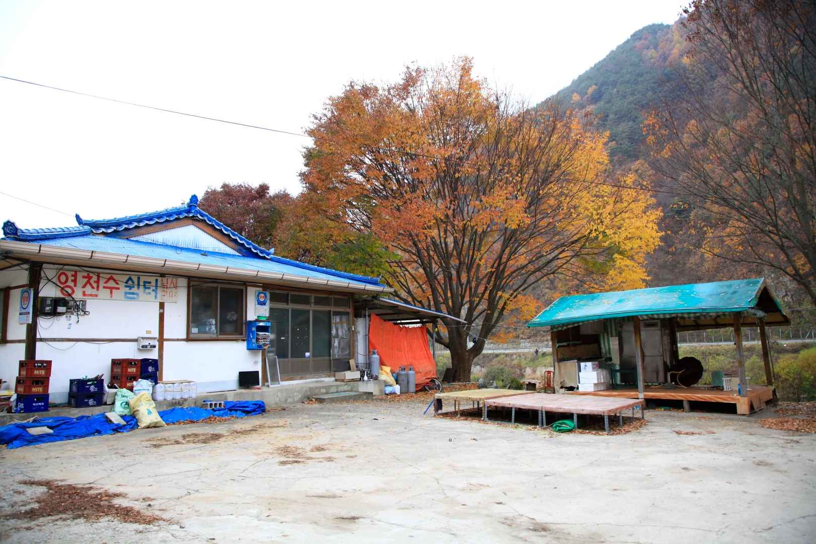 강나루래프팅 이미지 1