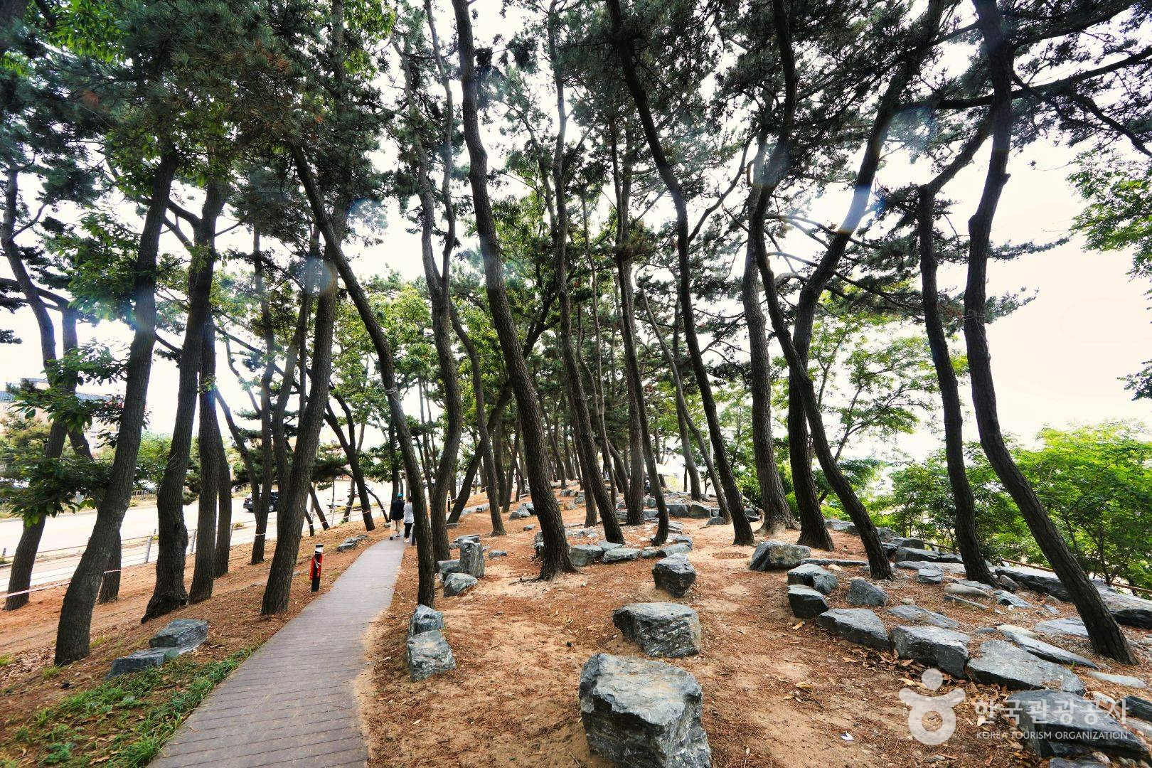 방아머리해변 이미지 3