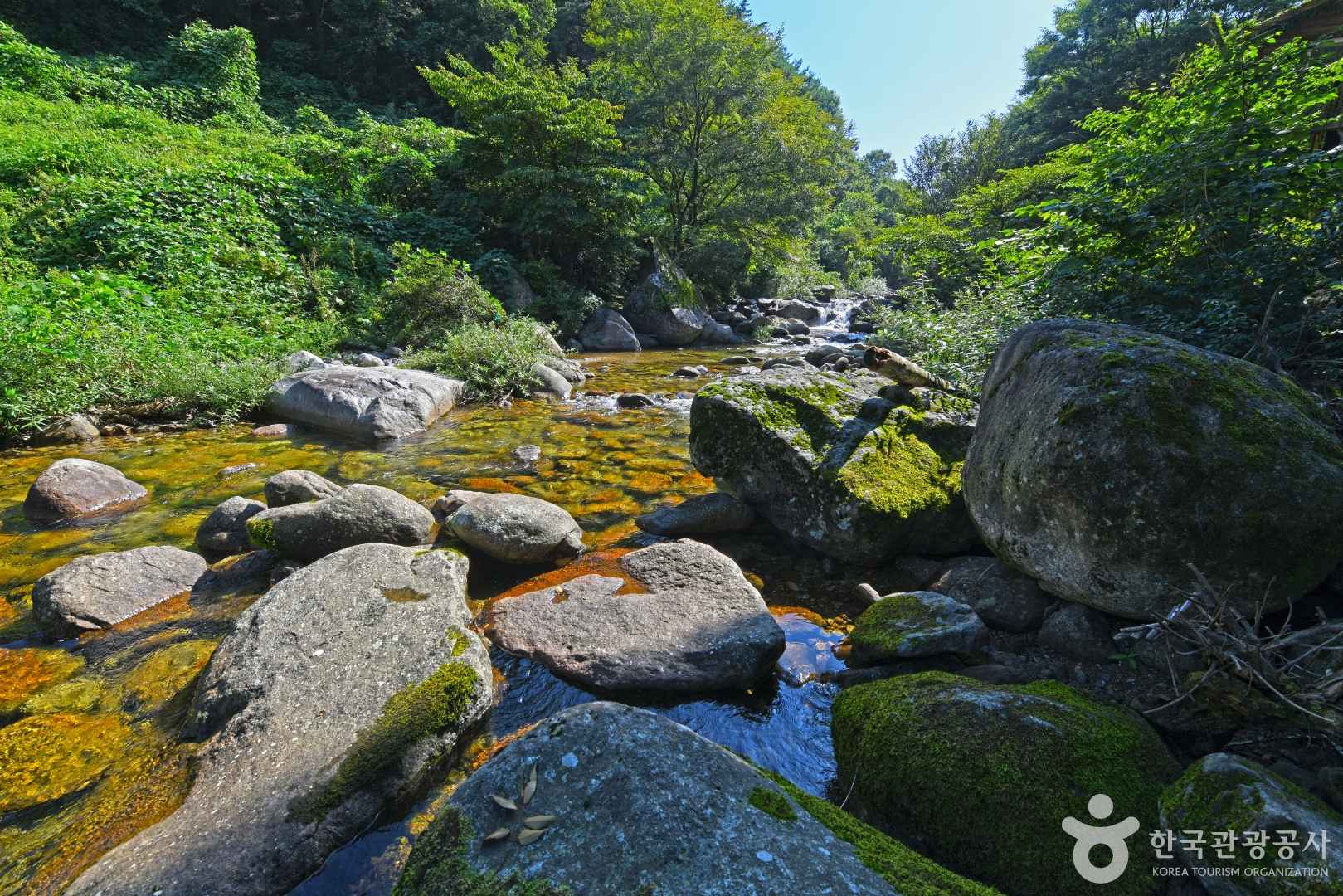 새밭계곡 이미지 6