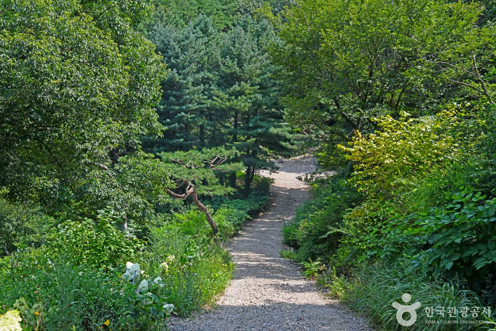 완주 화산꽃동산 이미지 1
