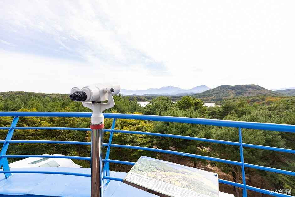 송지호관망타워 이미지 4