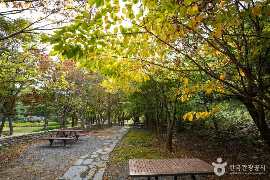 경상북도수목원 이미지 1