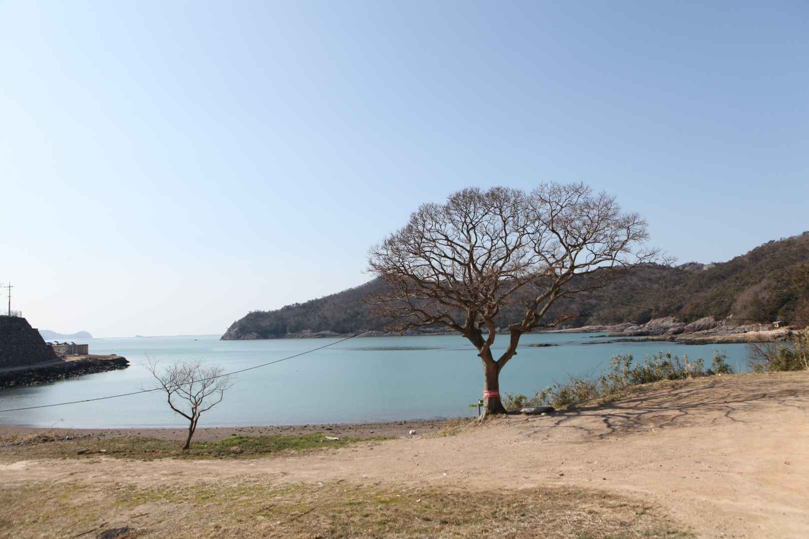 접도 이미지 5