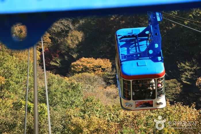 내장산 케이블카 이미지 2