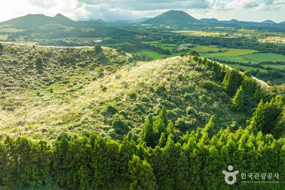 제주 손지오름 이미지 6