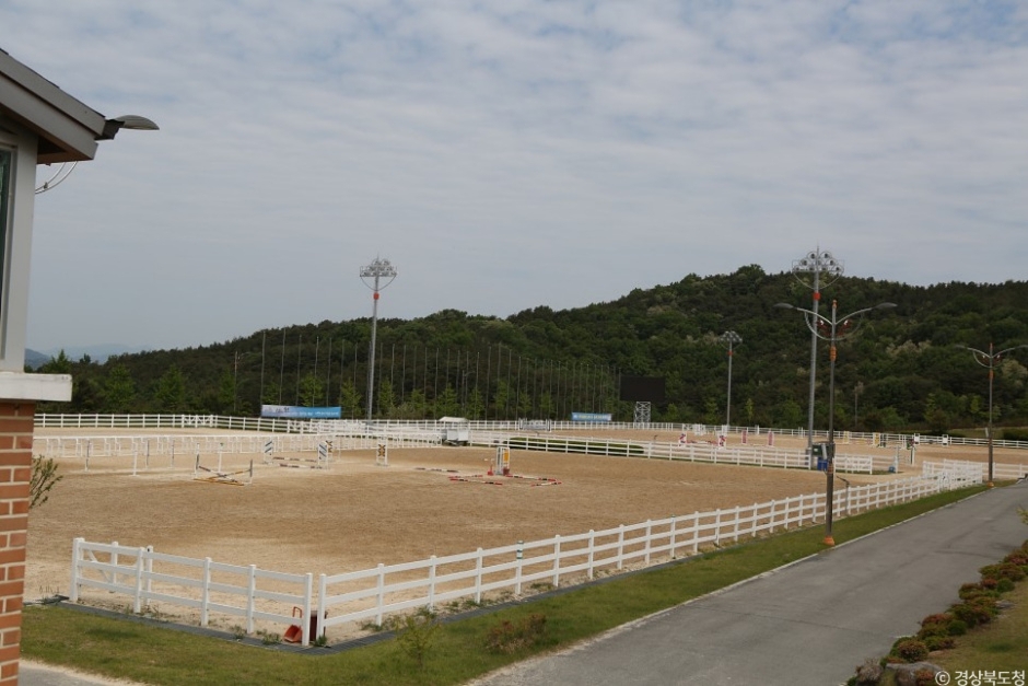상주국제승마장 이미지 2