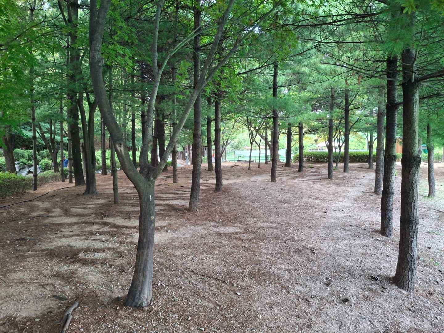 대현산배수지공원·대현산배수지공원 모노레일 이미지 7