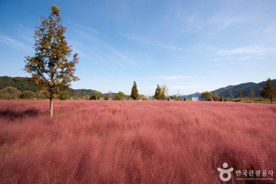 호국의병의숲 친수공원 이미지 2