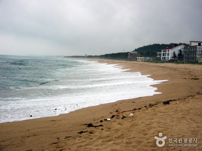 반암해변 이미지 5