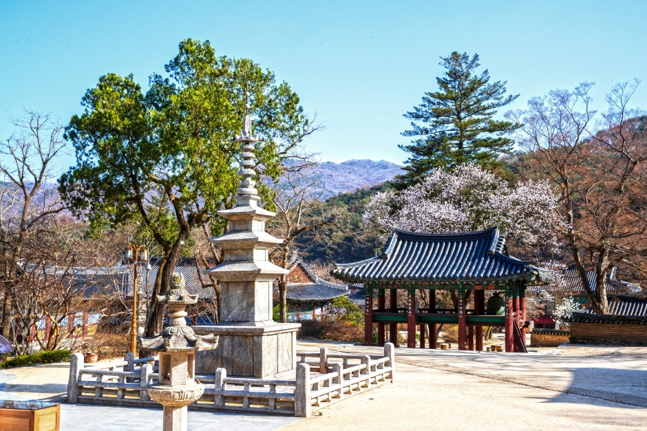 직지사 이미지 3