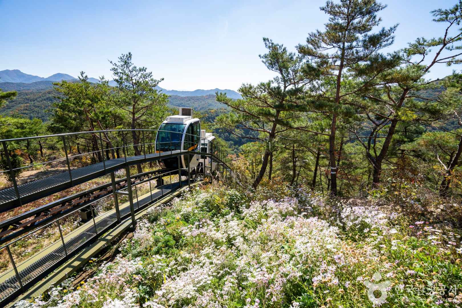 속리산테마파크모노레일 이미지 2