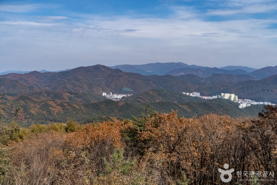 오투전망대 이미지 2