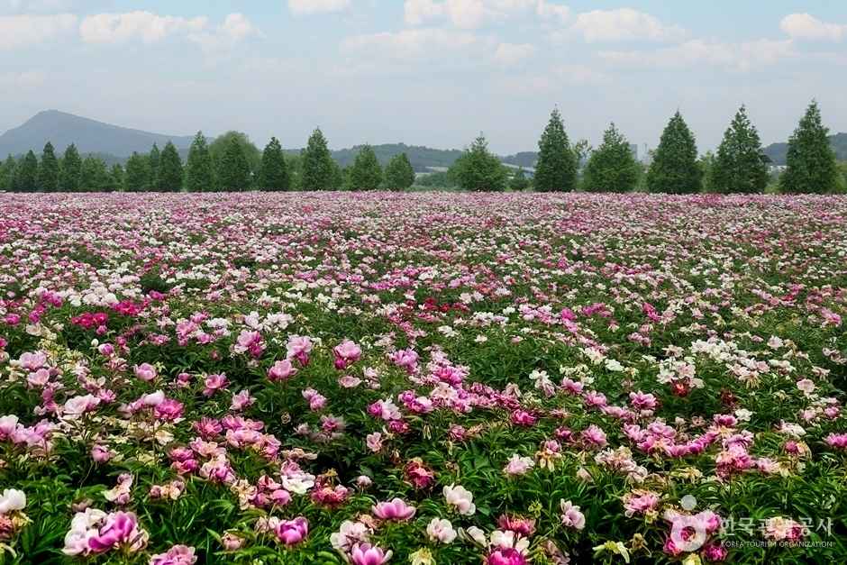 핫들생태공원 이미지 5
