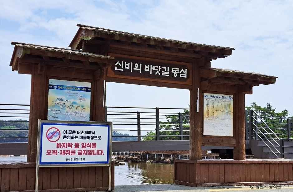 신비의 바닷길 동섬 이미지 5