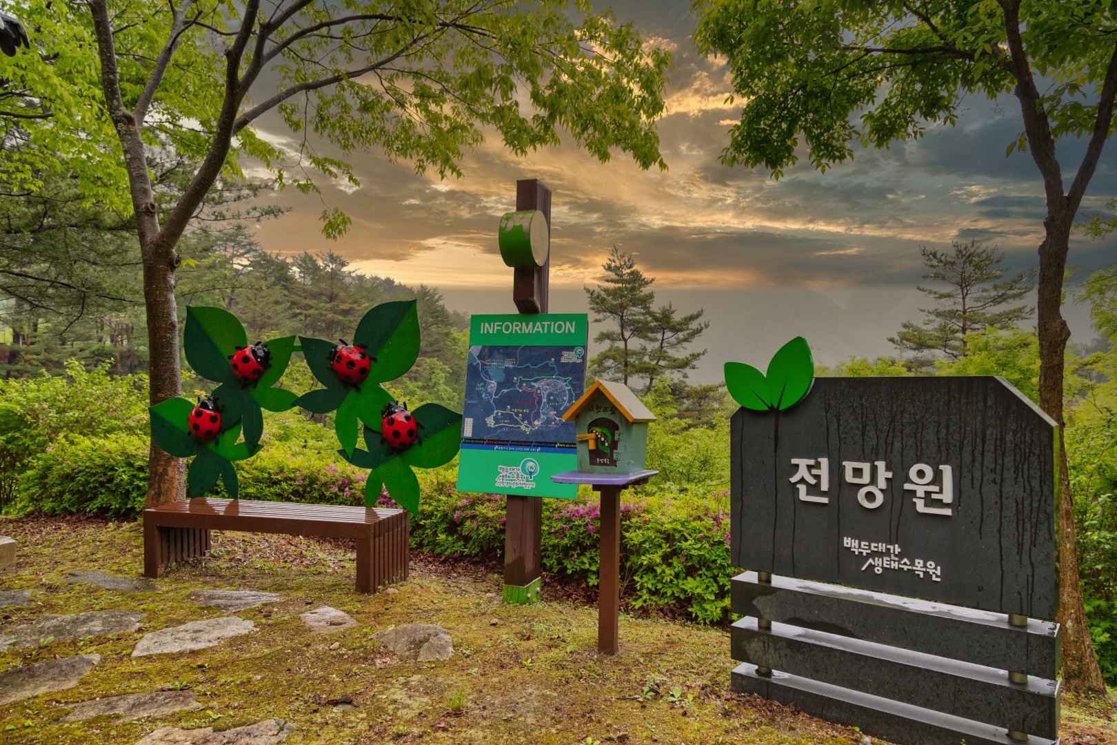 백두대간 생태수목원 이미지 7