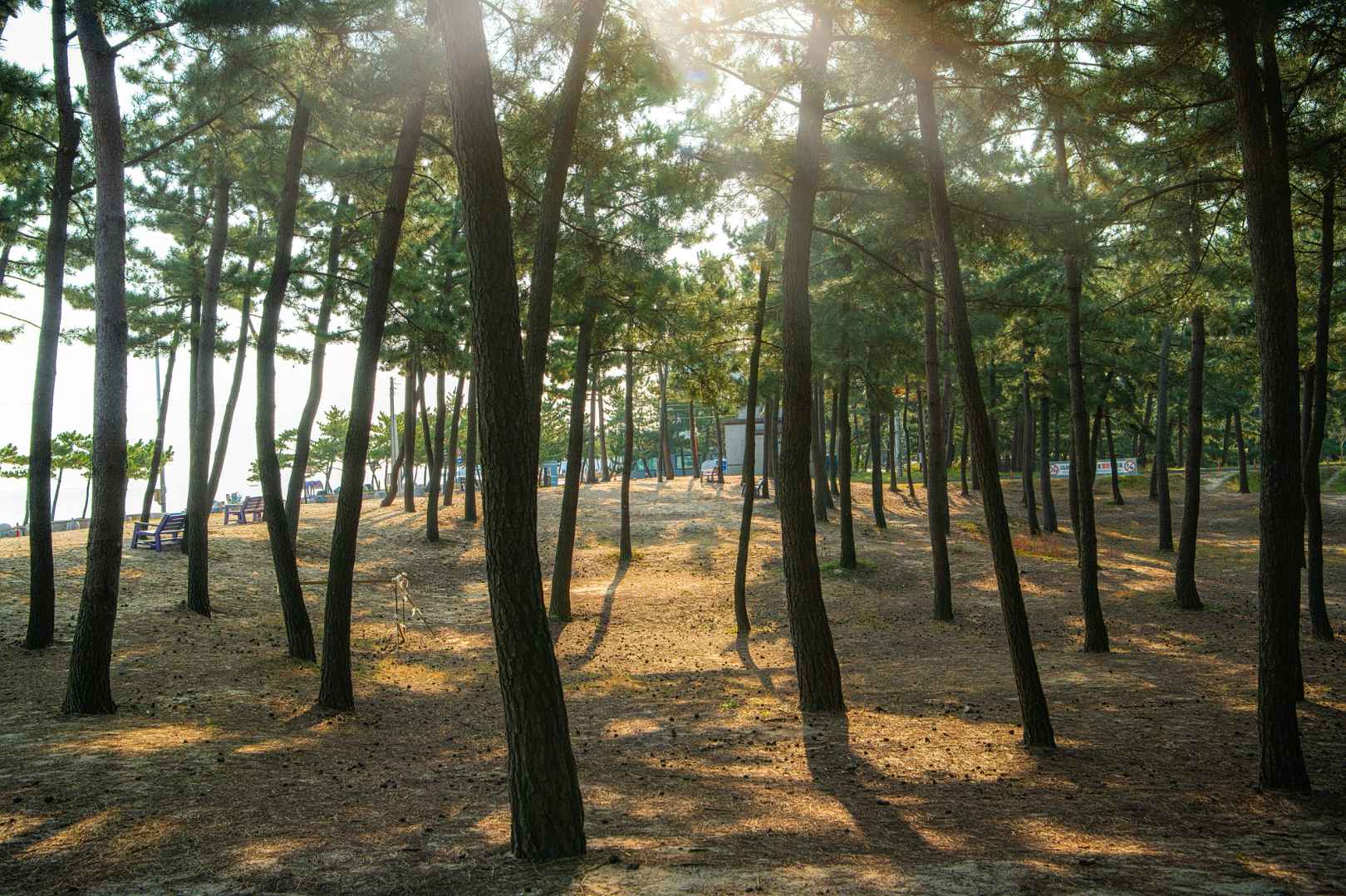 주문진해변 이미지 5