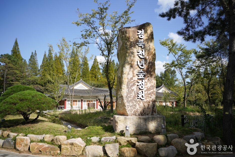 경북천년숲정원 이미지 1