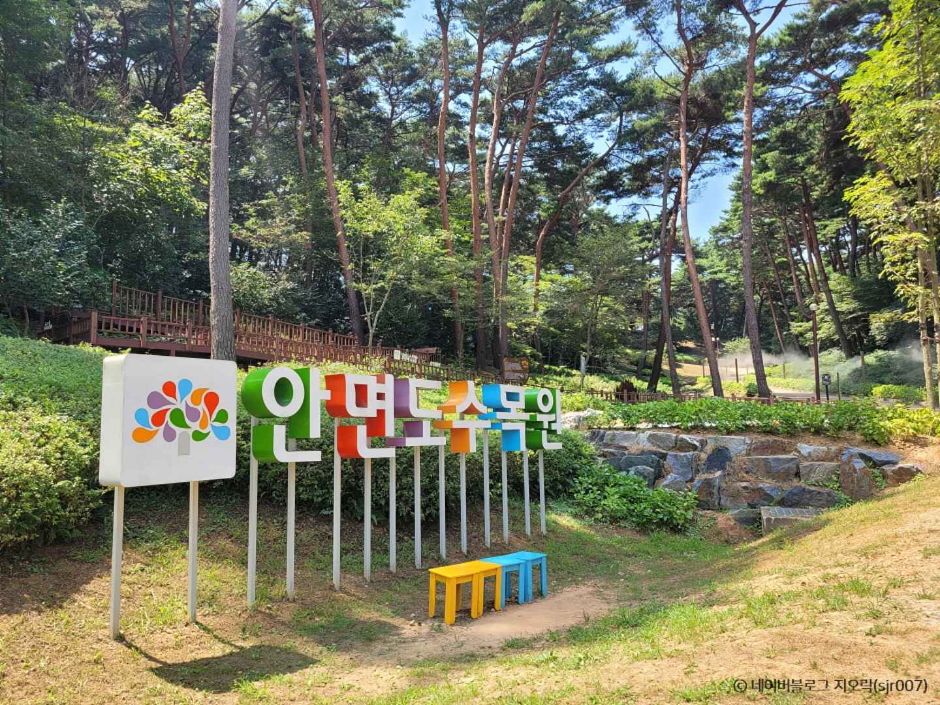 안면도수목원 이미지 1
