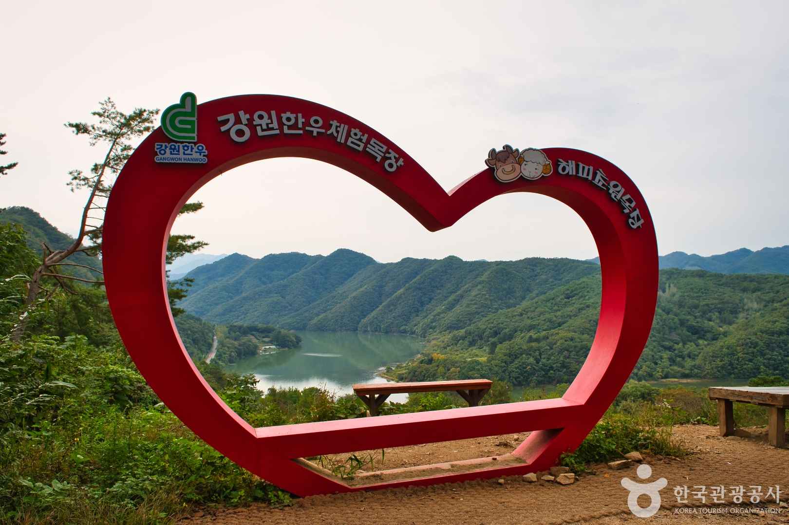 해피초원목장 이미지 2