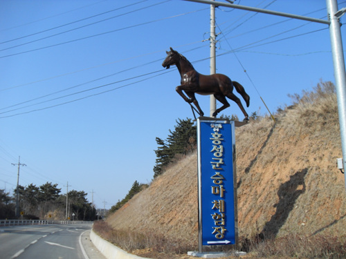 홍성군 승마체험장 이미지 1