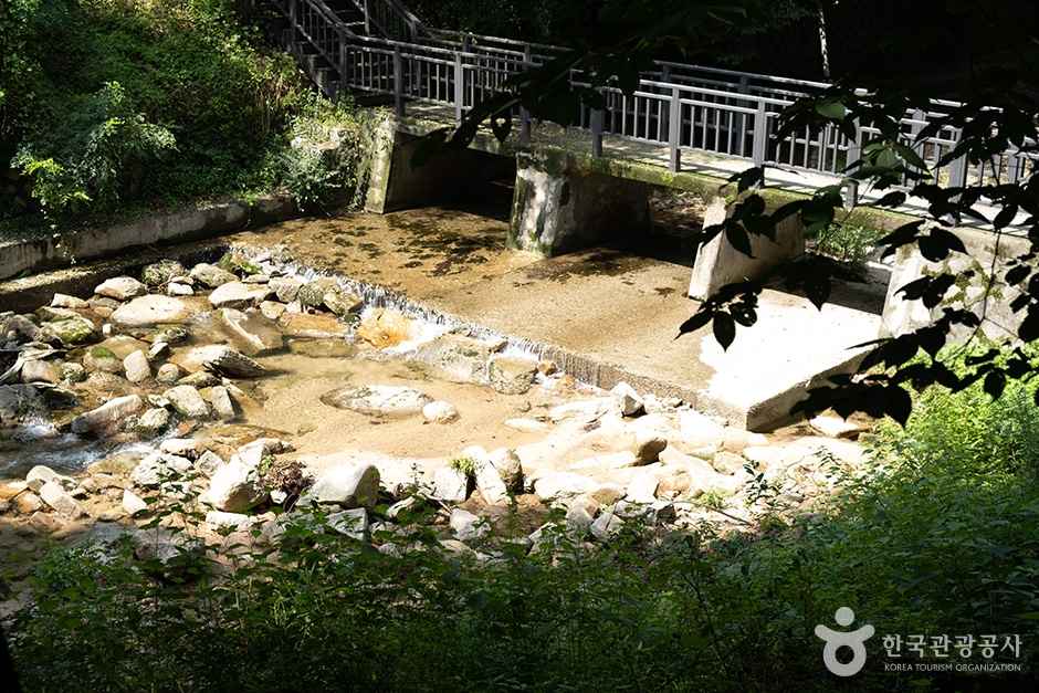 벽운계곡 이미지 1