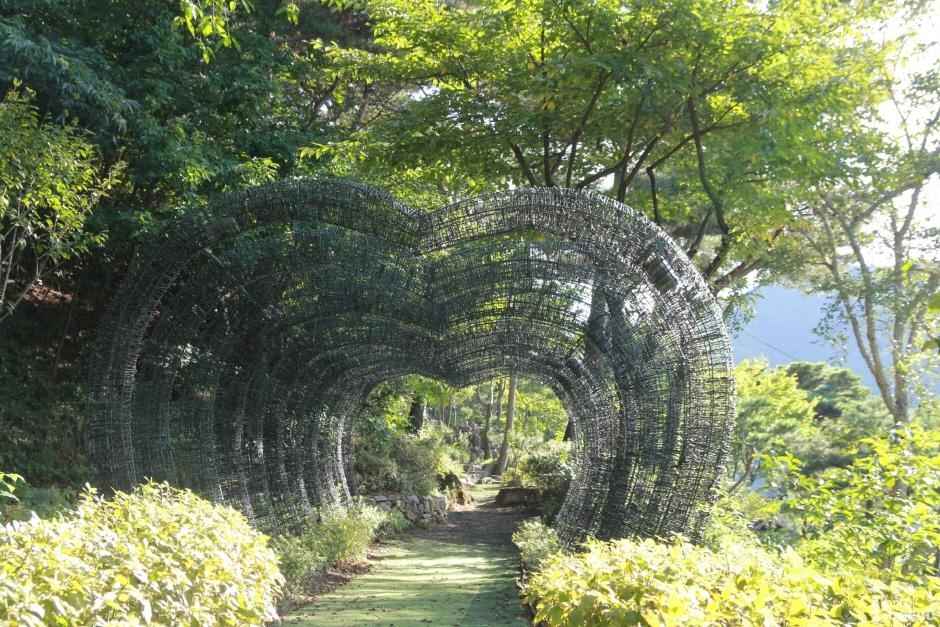 대한수목원 이미지 2