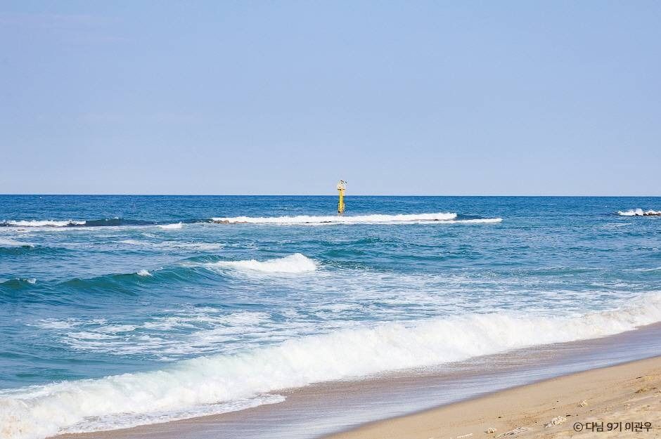 월송정 이미지 4