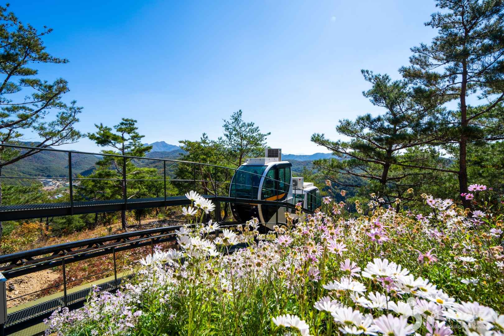 속리산테마파크모노레일 이미지 6