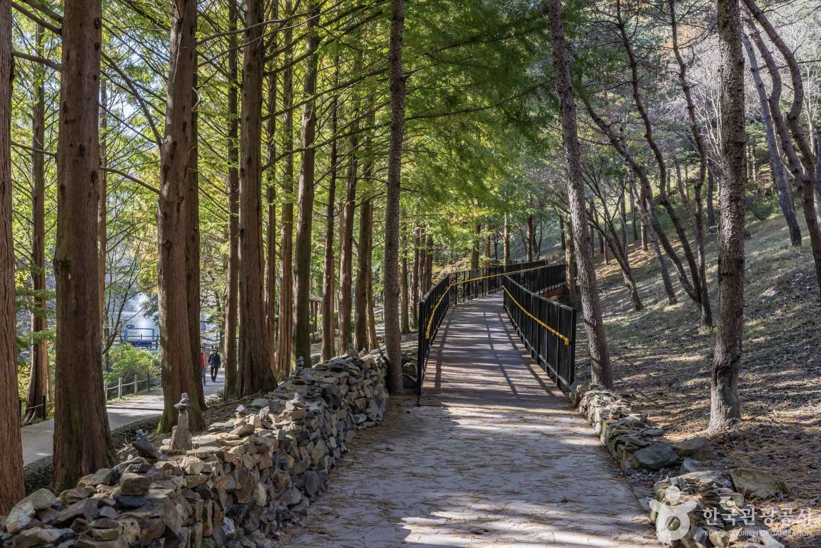 미동산수목원 이미지 2