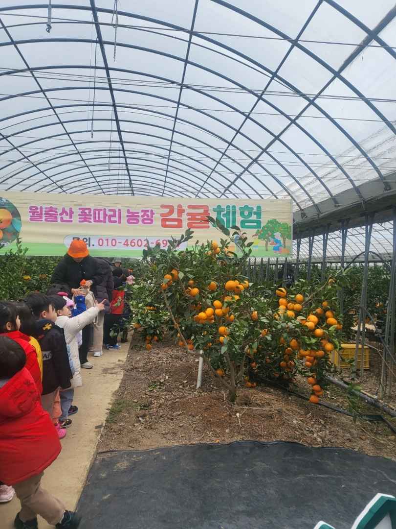 월출산꽃따리농장 이미지 3